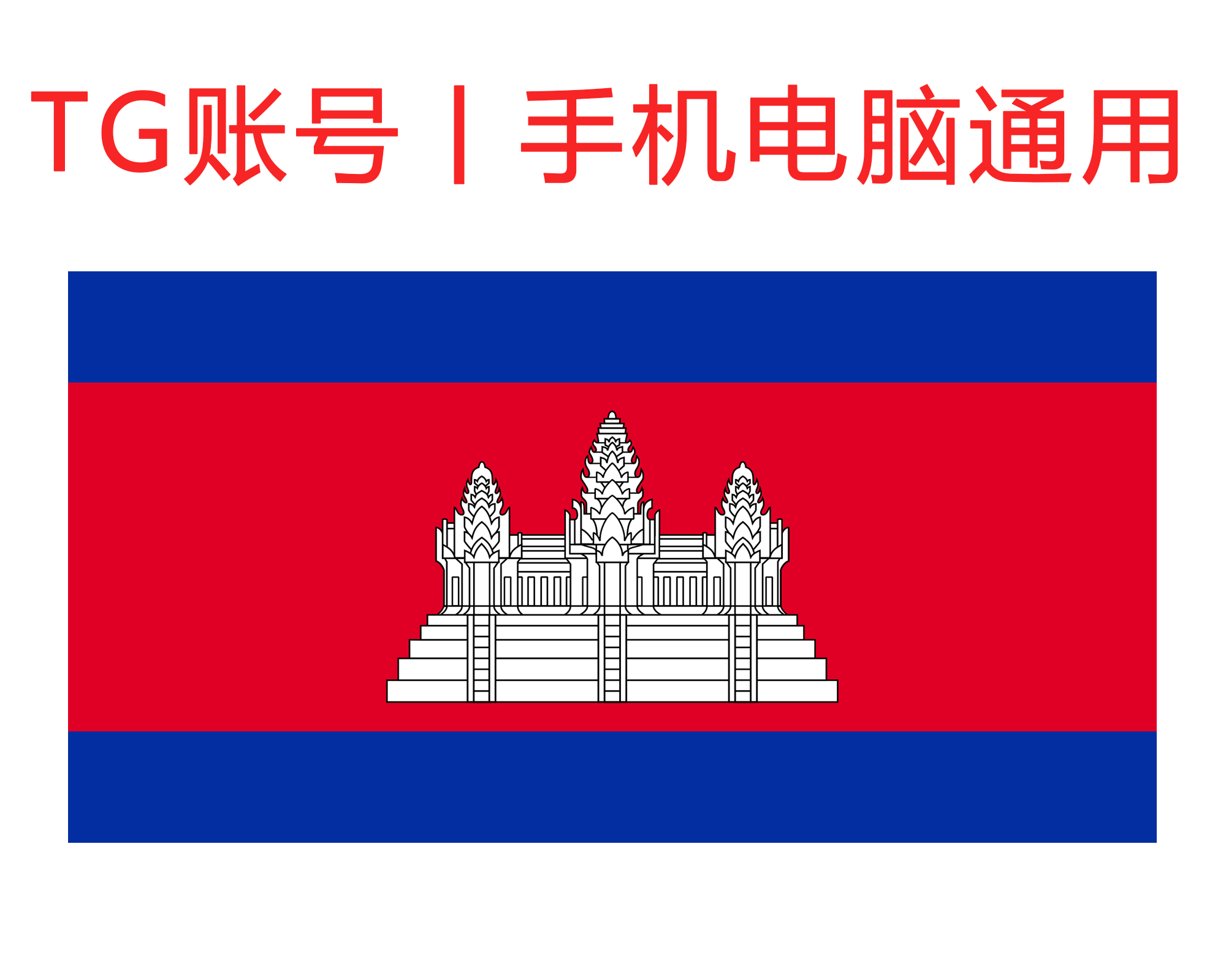 飞机号（柬埔寨）精养60天号｜手机+电脑可登