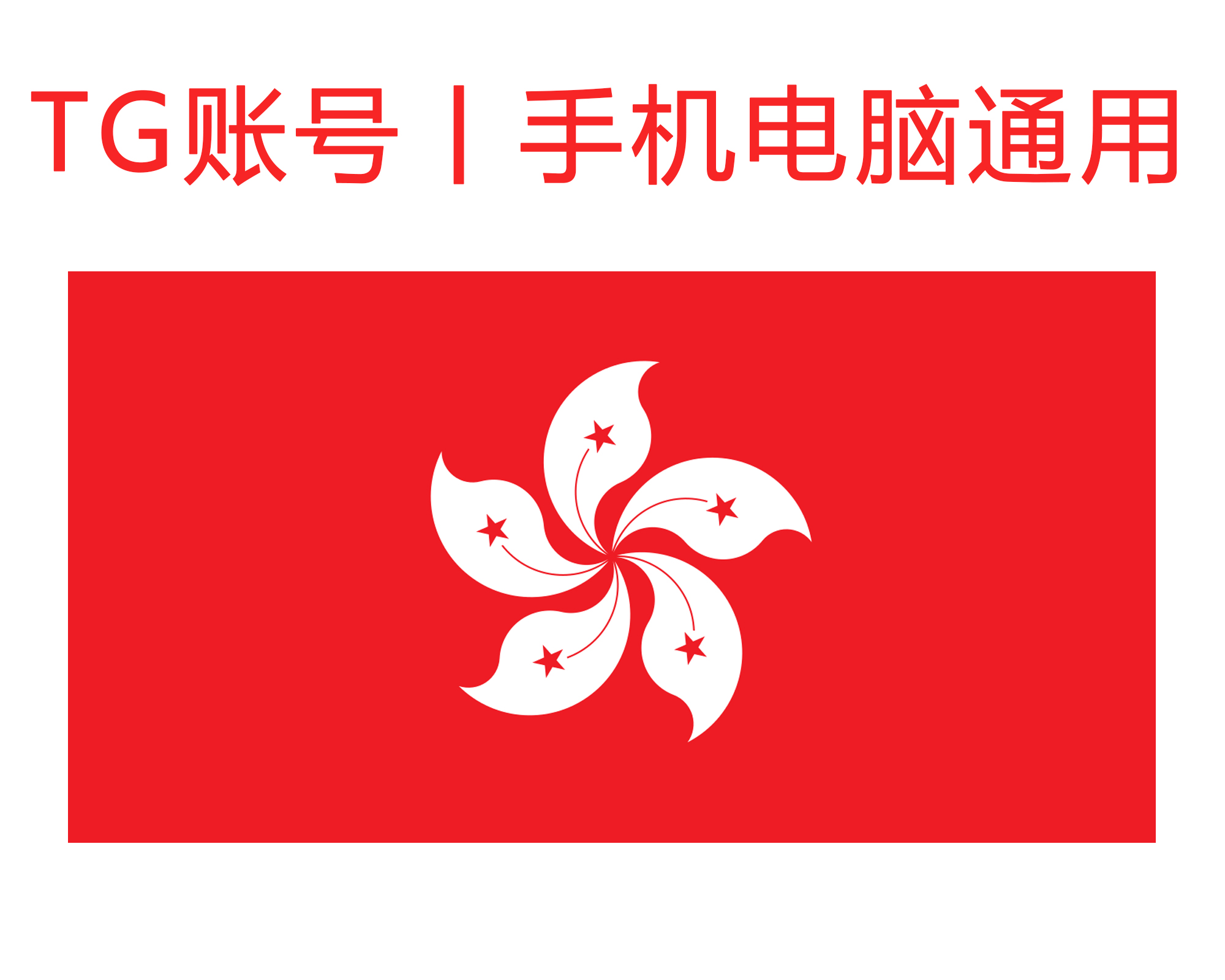飞机号 (香港) 精养半年号｜手机+电脑可登