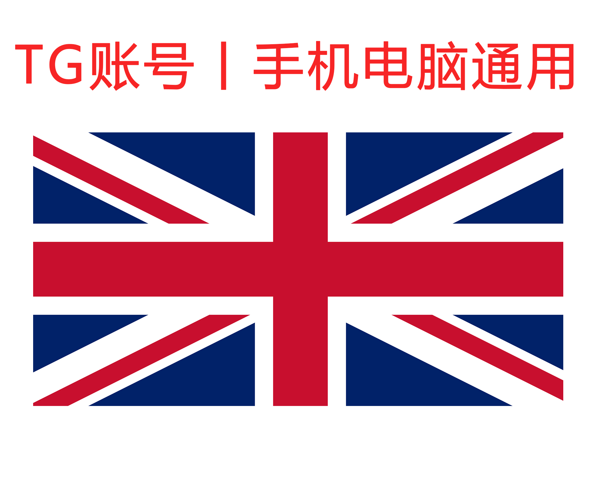飞机号 (英国) 精养两年+号｜手机+电脑可登